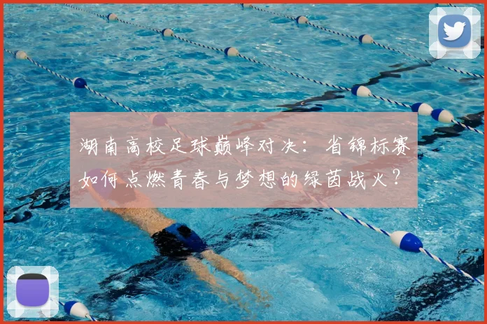 湖南高校足球巅峰对决：省锦标赛如何点燃青春与梦想的绿茵战火？