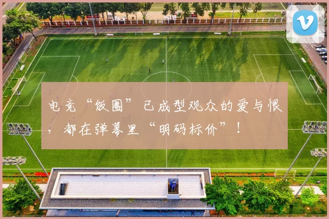 电竞“饭圈”已成型观众的爱与恨，都在弹幕里“明码标价”！